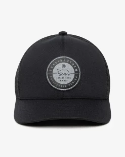 Bear 2.0 Fitted Hat