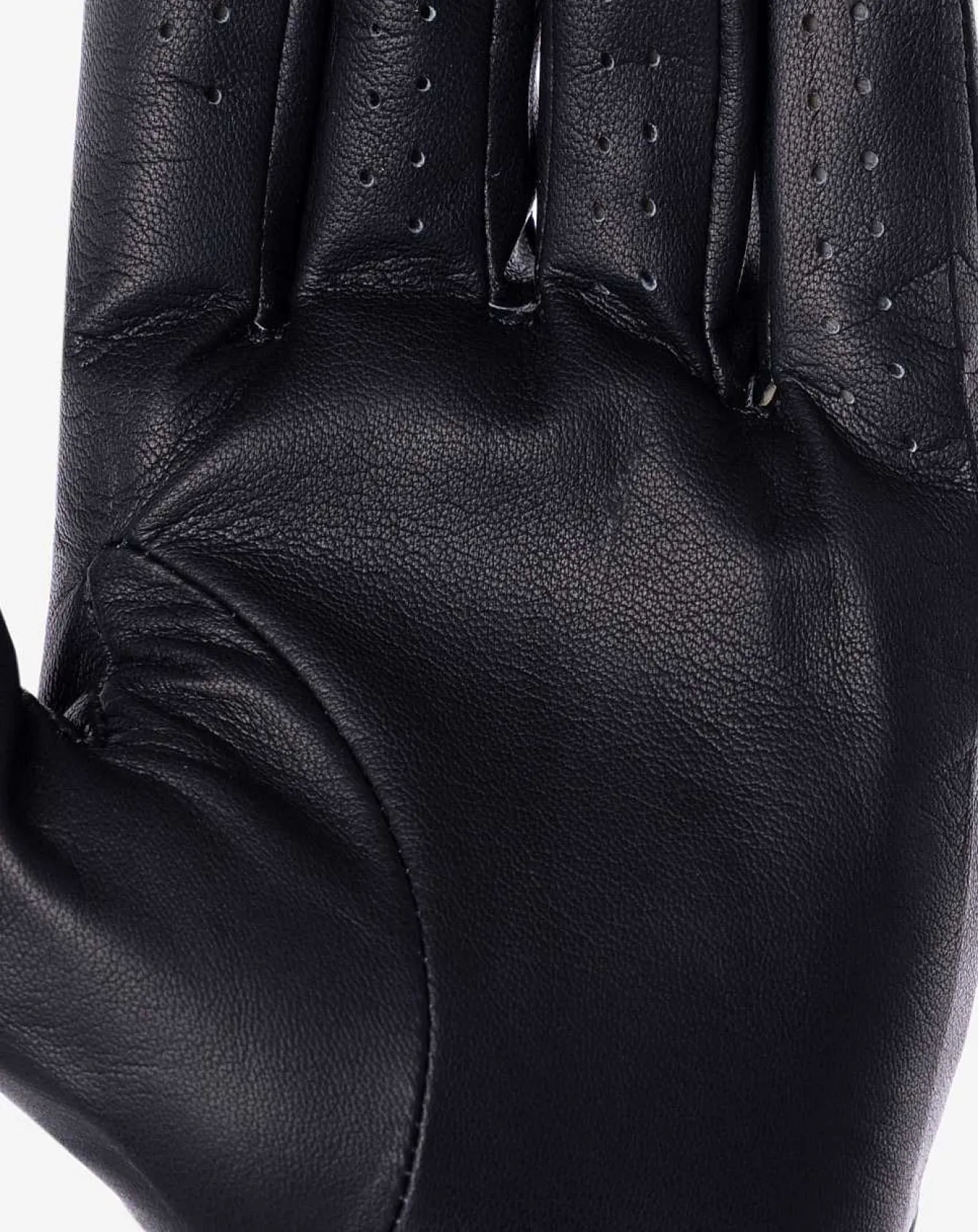 Headliner Golf Glove