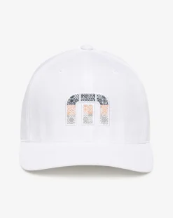Swim With Dolphins Youth Hat
